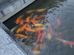 -采石矶景区