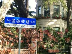 -八大关景区