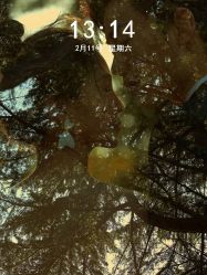 -皇室米澜摄影工作室(宝安店)