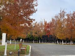 -长春世界雕塑园冰雪艺术天地