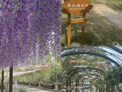 -静之湖度假区