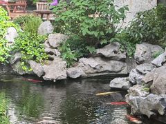 -鲤院·新中式美学·庭院餐厅(夫子庙店)