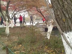 -西湖外事游船(花港观鱼码头)