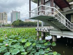 -荔湾湖公园
