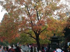 -香山公园-东宫门售票处