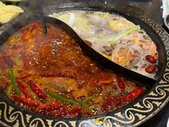 -小志家.鲜牦牛肉牛杂火锅野生菌汤锅