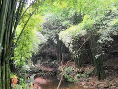 -川西竹海景区