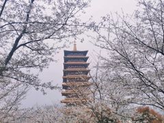 -牛首山文化旅游区