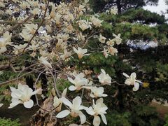 -国家植物园南园