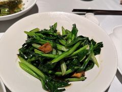 -柴门·头啖汤(天安千树店)