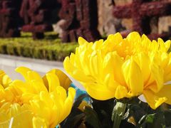 -上海市龙华烈士陵园