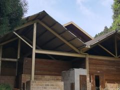 -武陵山森林公园