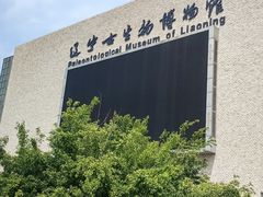 -辽宁古生物博物馆