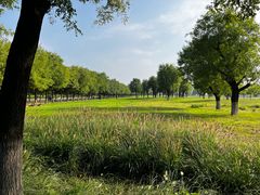 -汉长安城未央宫国家考古遗址公园