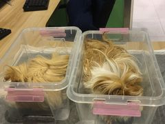 -雨林宠物医院 非犬猫异宠专科