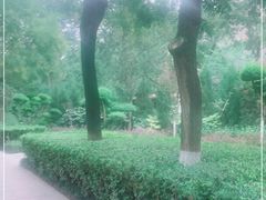 -莲湖公园