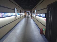 -华美国际影城(旧宫永辉店)