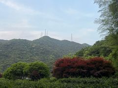 -北仑森林植物园