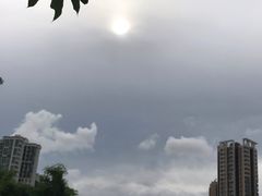 -中山市树木园
