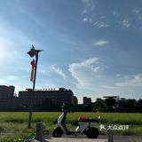 十蚊一杯靓咖啡豆送稻田靓景