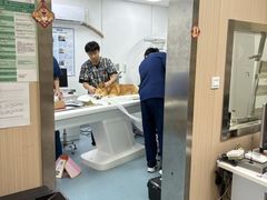 -康成宠物医院24H·CT·核磁共振