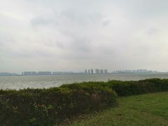 -苏州金鸡湖大酒店