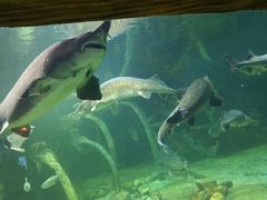 -华夏文旅西安度假区