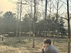 -永定河休闲森林公园