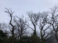 -萍乡武功山风景名胜区