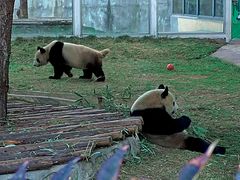 -西安秦岭野生动物园