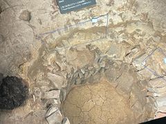 -南越王博物院(王宫展区)