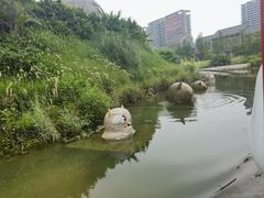 -江门古劳水乡旅游区