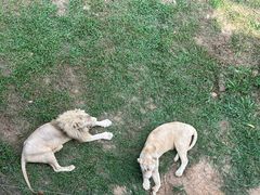 -泉州海丝野生动物世界