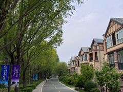 -观澜小洱海