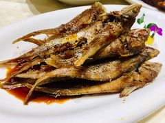 -顺风海鲜港(金玉兰店)