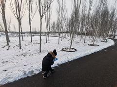 -东郊湿地公园