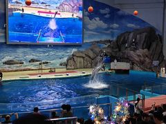 -福州罗源湾海洋世界旅游区