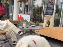 -SAANCI山池咖啡(海上世界文化艺术中心店)