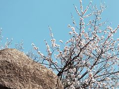 -北京凤凰岭
