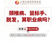 -上海日盈律师事务所·法律咨询
