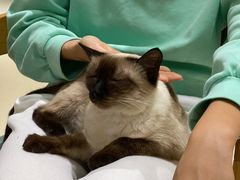 -藏猫猫咖啡主题馆(中央大道店)