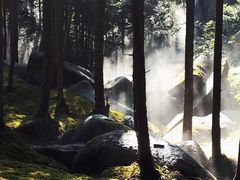 -玉苍山国家森林公园