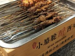 -福苗小骆驼烧烤(大唐不夜城店)