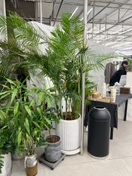 -BOF HAIR BY HONTO