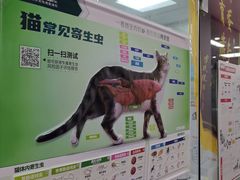 -芭比堂动物医院(广州爱宠下渡路分院)