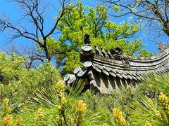 -潭柘寺景区