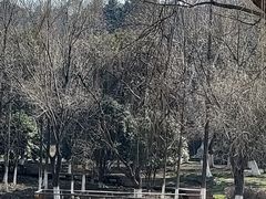 -太子山公园(园东路)