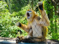 -哈尔滨北方森林动物园