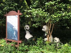 -仙芝竹尖生态园旅游景区