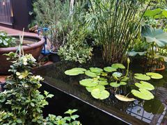 -肴约·花园式餐厅(湖里店)